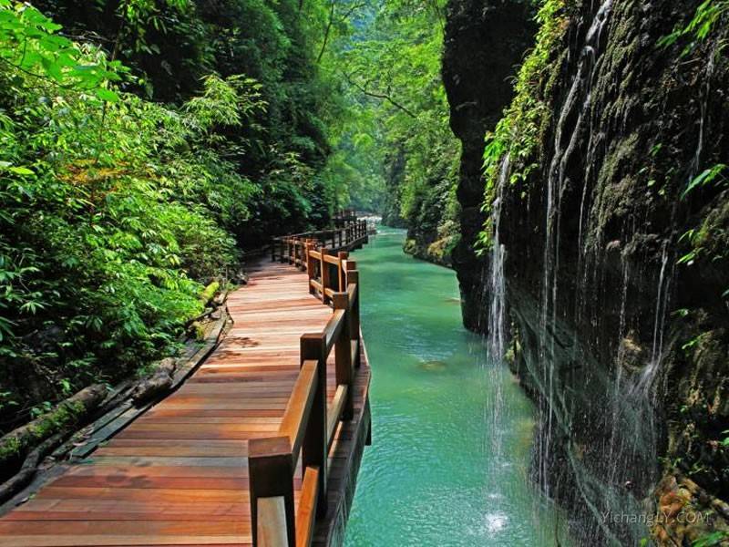 重庆万盛黑山谷景区