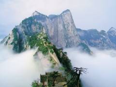 船进神农架两日游【宜昌出发，乘高峡平湖游船，畅游新三峡美景】图1
