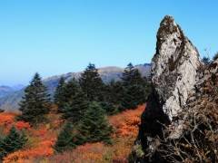 船进神农架两日游【宜昌出发，乘高峡平湖游船，畅游新三峡美景】图2