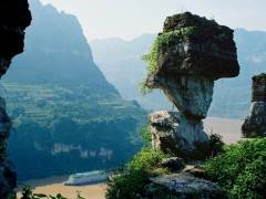 特价208元！宜昌去三峡人家，【三峡人家一日游】跟团游图3