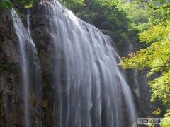 宜昌市区出发到三峡大瀑布半日游 宜昌周边旅游图1