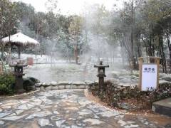 船进神农架 滑雪泡温泉风情3日游 宜昌出发 东站可接图2