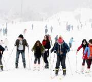 爸爸去哪儿【哈尔滨亚布力雪乡长白山双飞六日游】