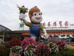 宜昌到云南昆明、大理、丽江豪华品质双飞 6 日游图3