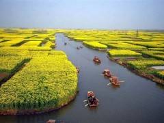 3月11日首发【篁岭赏花.大茅山嬉水.景德镇三日游】图3