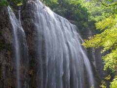 三峡大瀑布全景一日游图3