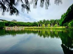 【暑期特惠】厦门鼓浪屿集美双动六日特色游图2
