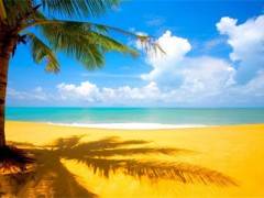 【署期特惠】海南亲子八日游图2