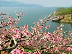 西陵峡口全景一日游【含四大精华景点，赠送游船西陵峡口风景】图2