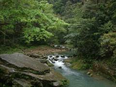 宜昌出发张家界旅游跟团：张家界精华三日游图3