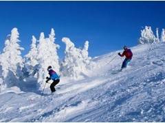 双泉寨温泉+神农架国际滑雪场品质休闲二日游图3