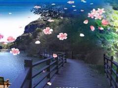 春季赏花三峡奇潭特惠一日游 49.9元/人（3月8日首班）图2