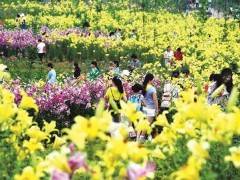 三峡植物园