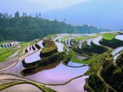 宜昌到贵州山水双卧六日游（全陪班）图3