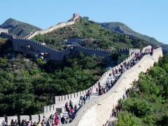 北京单飞单卧纯玩六日游【宜昌出发到北京过暑假，相约动物园】图2