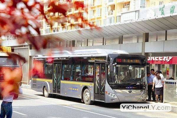 宜昌城区今日起可刷二维码乘公交车