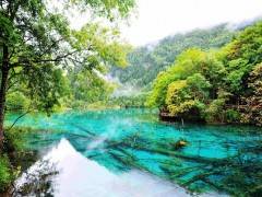 宜昌长江三峡成都九寨沟松州古城藏羌8日游图3