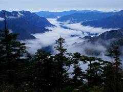 宜昌出发船进神农架两日游图3