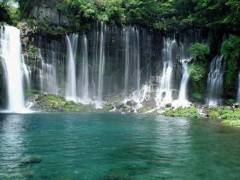 宜昌到三峡竹海一日游【湖北4A级生态旅游区】图3