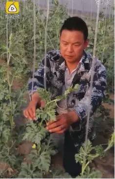 2020年武汉疫情下感人的瞬间