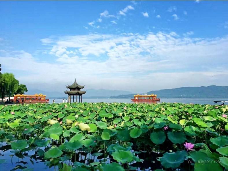 宜昌到杭州西湖旅游