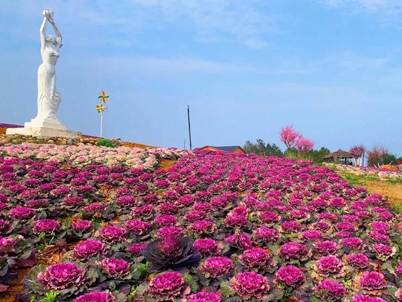 当阳玉泉花海景区