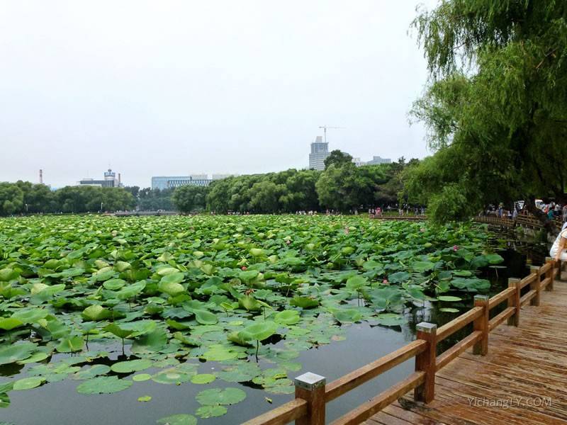 嘉兴市南湖风景名胜区广场图片