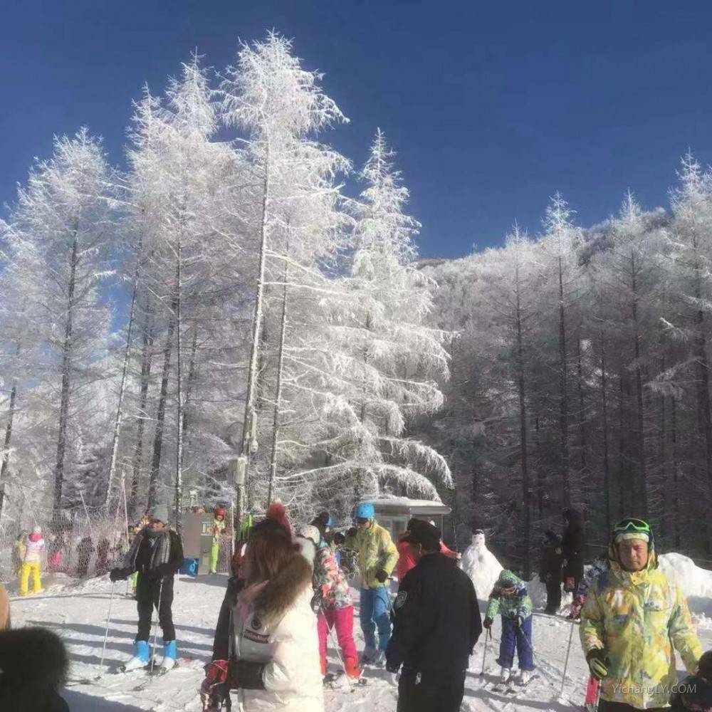 神农架滑雪美景