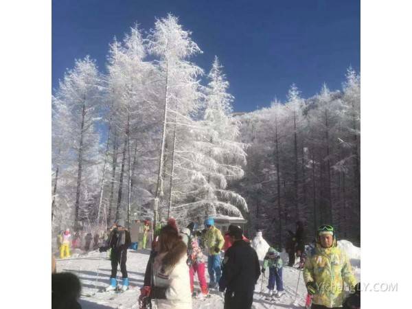 神农架国际滑雪场价格 神农架滑雪跟团多少钱  神农架滑雪跟团价格268元/人起图3