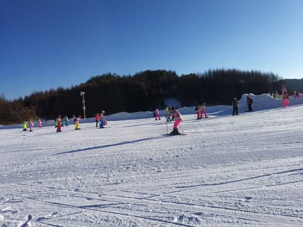 2023年宜昌到神农架国际滑雪场二日游_神农架滑雪二日游168元/人起图2