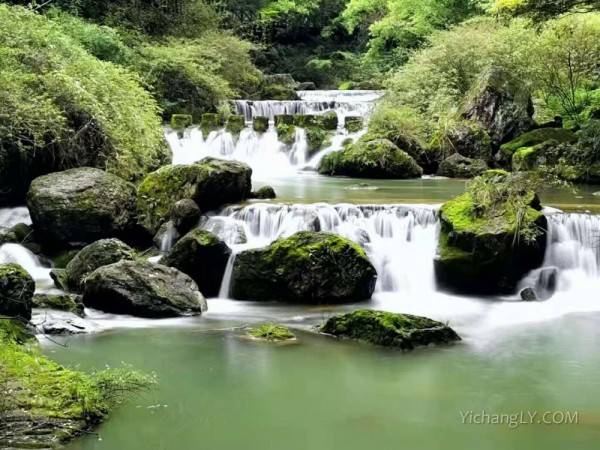 三峡大瀑布、情人泉、金狮洞全景一日游图2