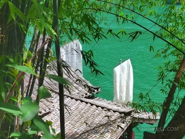 【旅游网推荐】醉美胜地----三峡人家一日游图3