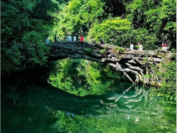 三峡大瀑布（漫步栈道+穿越瀑布+恐龙乐园）品质纯玩半日游图2