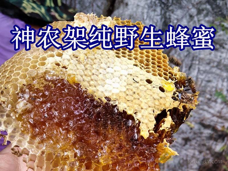 蜂蜜1