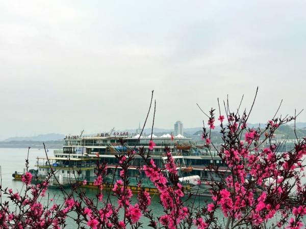 宜昌两坝一峡豪华游轮1日游｜过船闸+含中餐图2