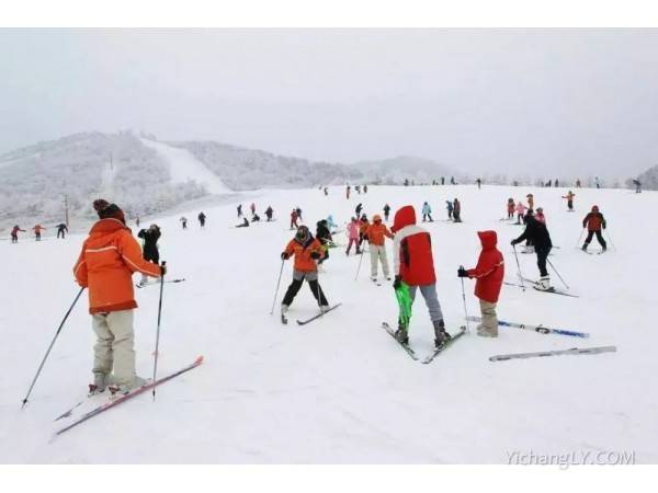 宜昌到神农架国际滑雪二日游，天天发班