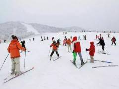2023年神农架国际滑雪场开放时间