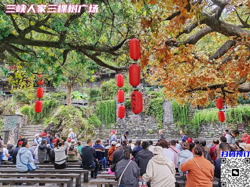 三峡人家三棵树广场1