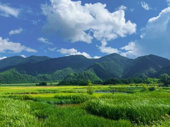 宜昌到神农架三日游(天天发班 宜昌东站可接送)图8