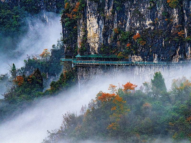 1564caa008527fca0c88e9c285d6b9a_副本