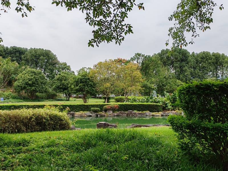 IMG_20231027_115124_副本