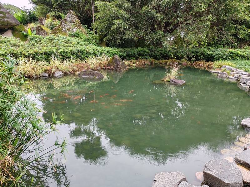 IMG_20231027_115206_副本