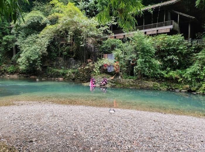 宜昌三峡人家一日游路线推荐_宜昌到三峡人家旅游攻略图8