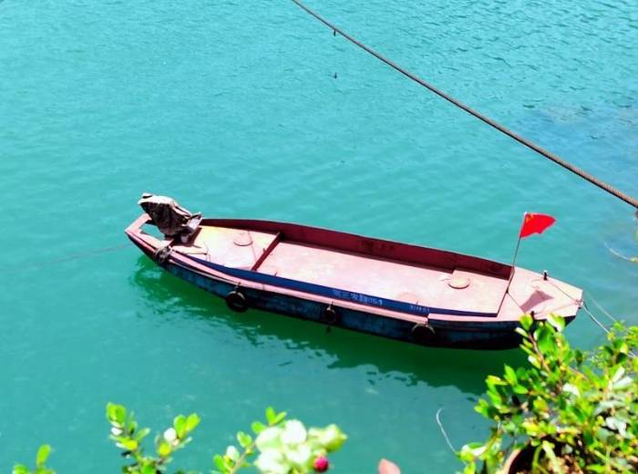 两坝一峡游船+三峡人家一日游（豪华游船过葛洲坝，船进三峡人家）图4