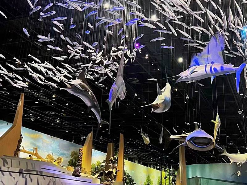 武汉自然博物馆