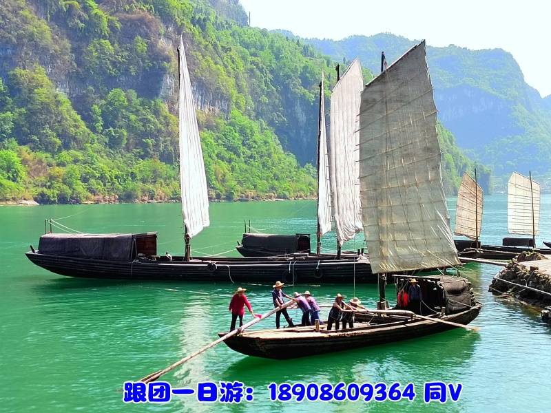 mmexport1681794897978_副本