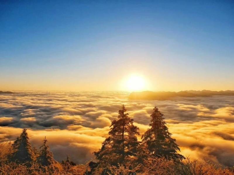 微信图片_20230522150530_副本