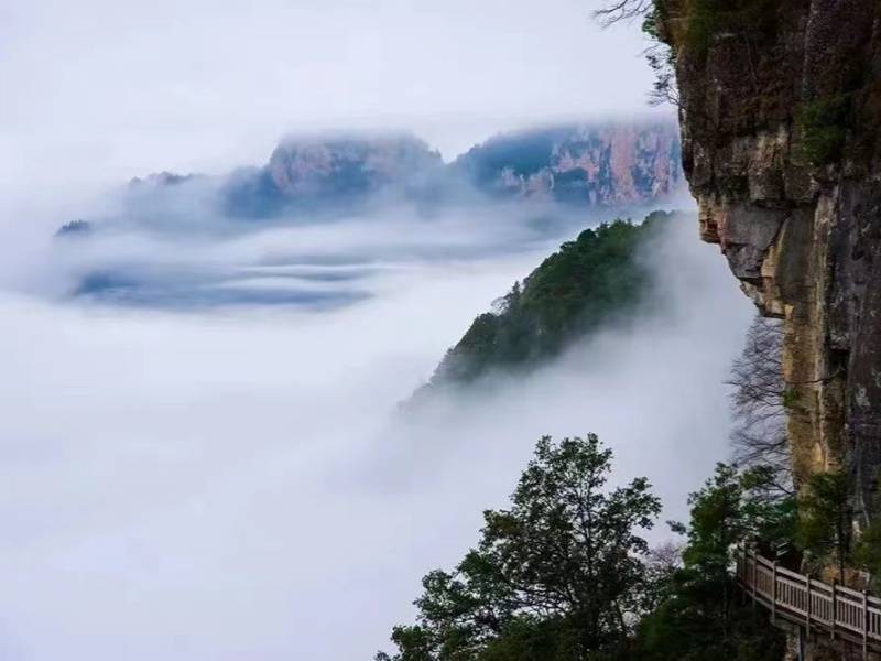 微信图片_20230522090252_副本