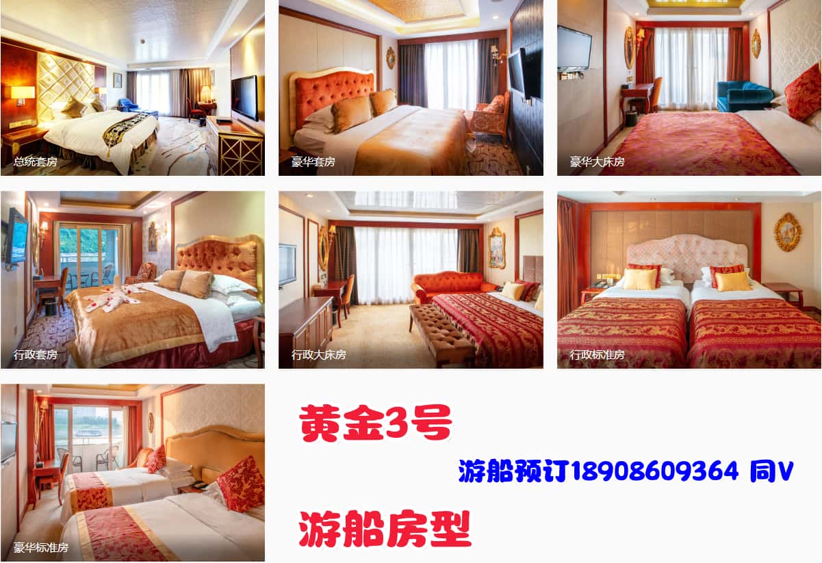 黄金3号房型_副本