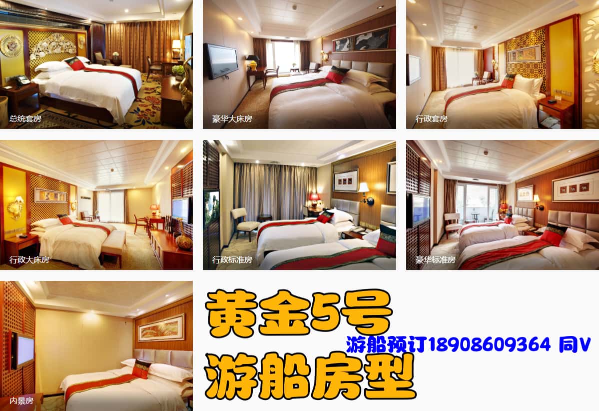 黄金5号房型_副本